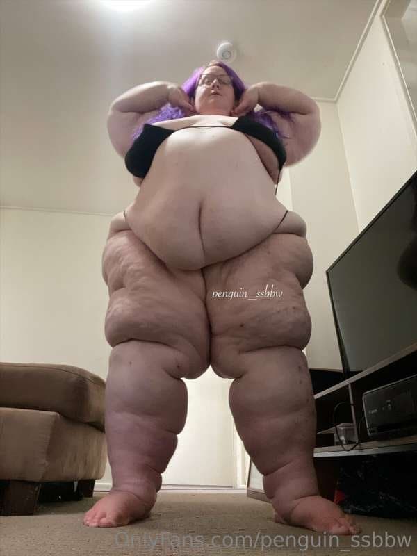 ssbbw penguin