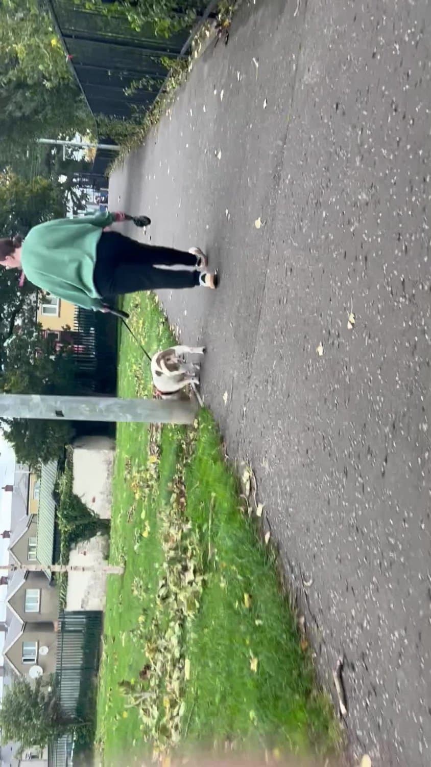 Big ass MILF loves letting me record her jiggly ass, she loves the attention ?