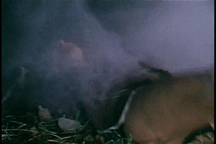 The Trees! They’re Alive!!! (Part 3)