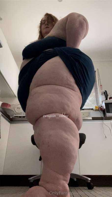 ssbbw penguin