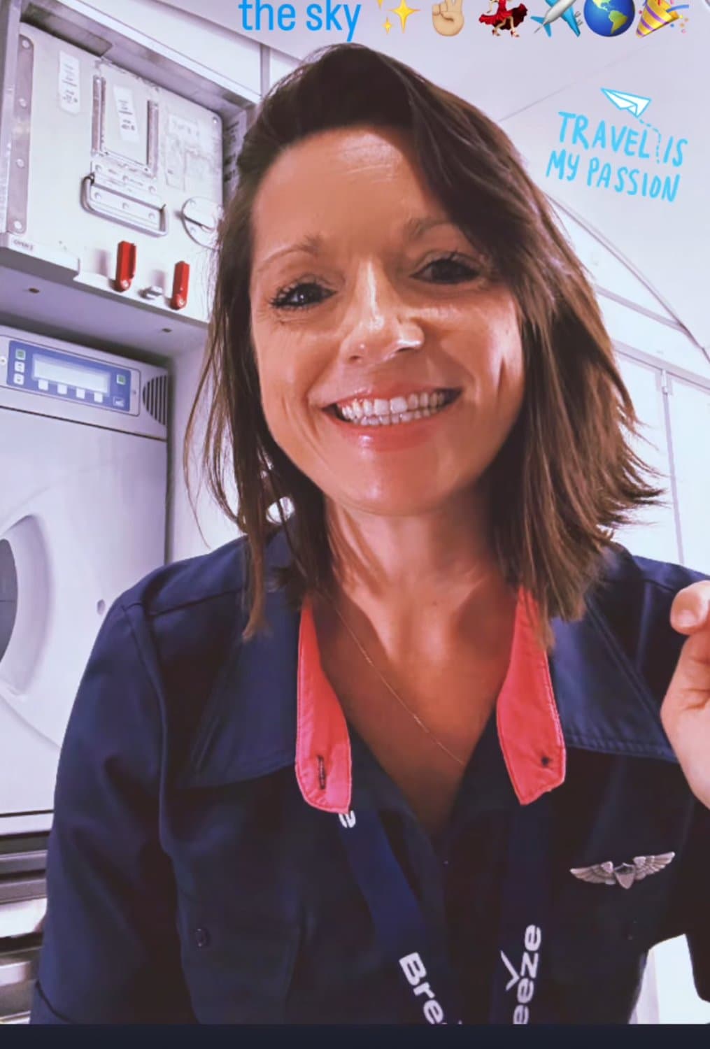 Sexy flight attendant