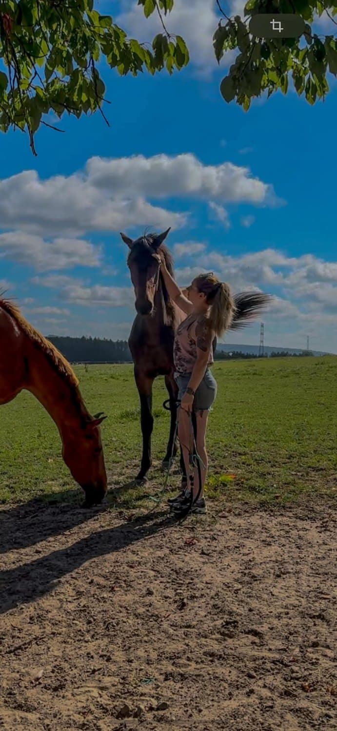 Chienne française pute à black