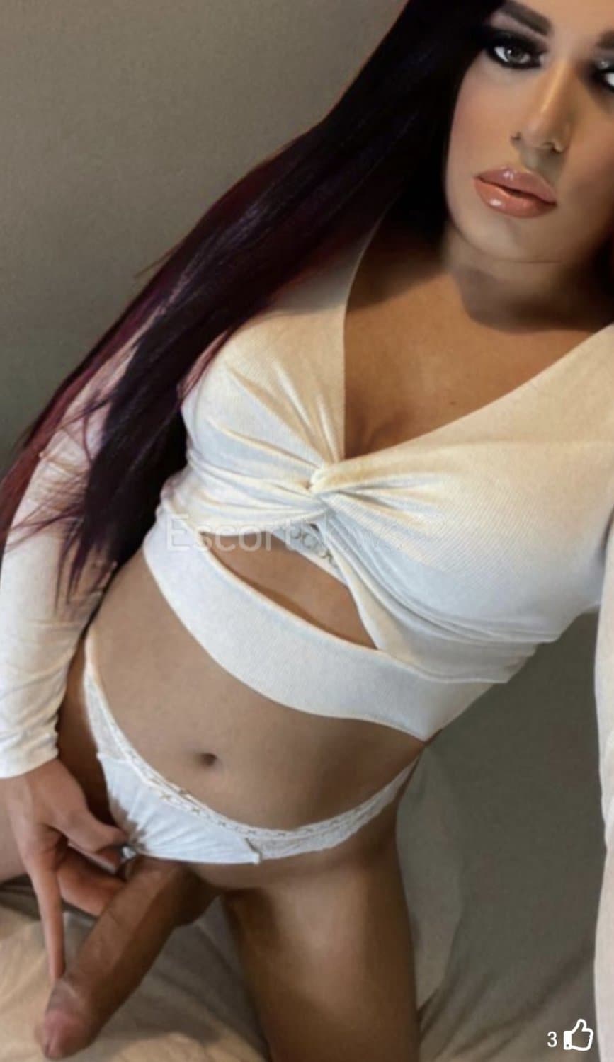 Shemale Italy Italia escort Trans Escort