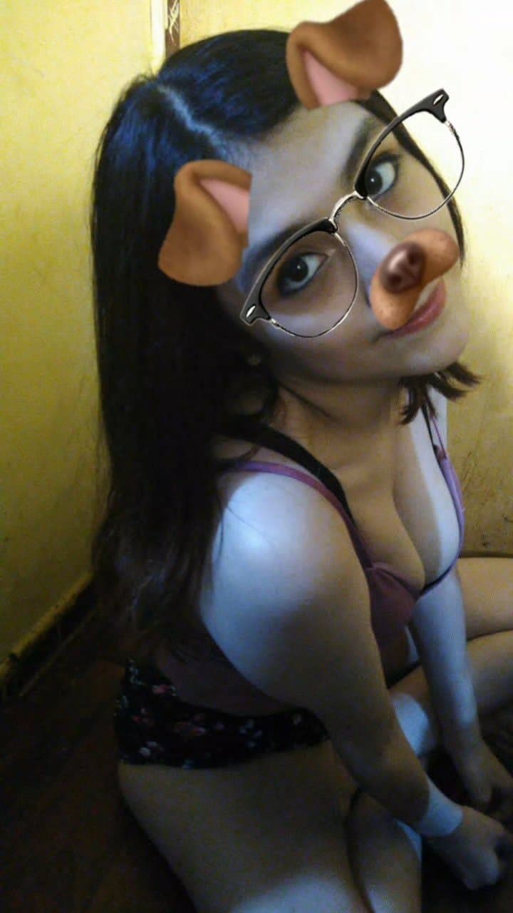 cute playful naughty puppy