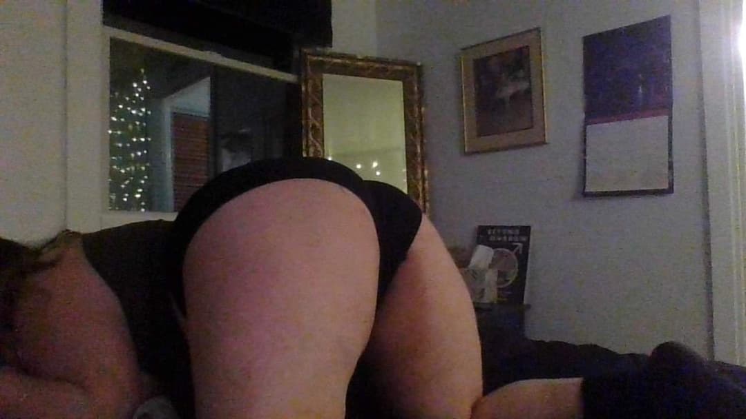 pig dumb ugly disgrace