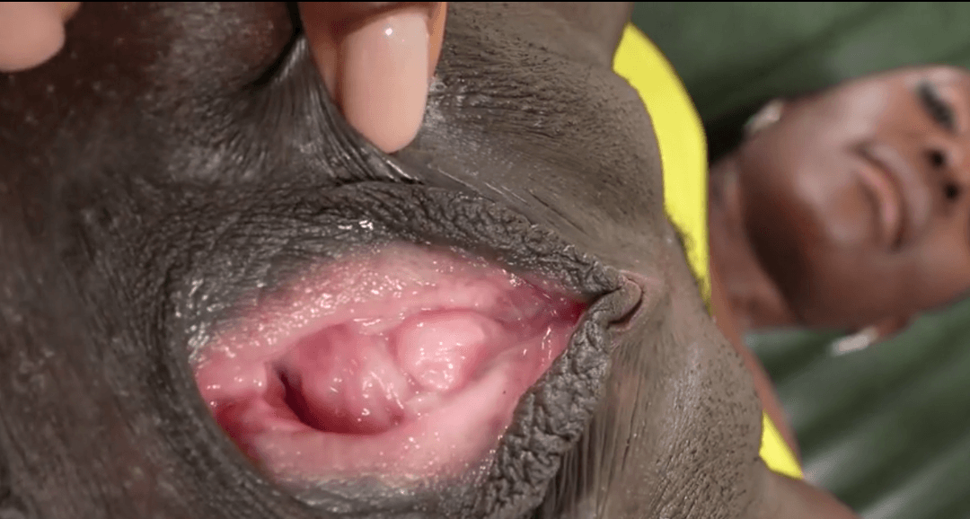 what an incredible color match