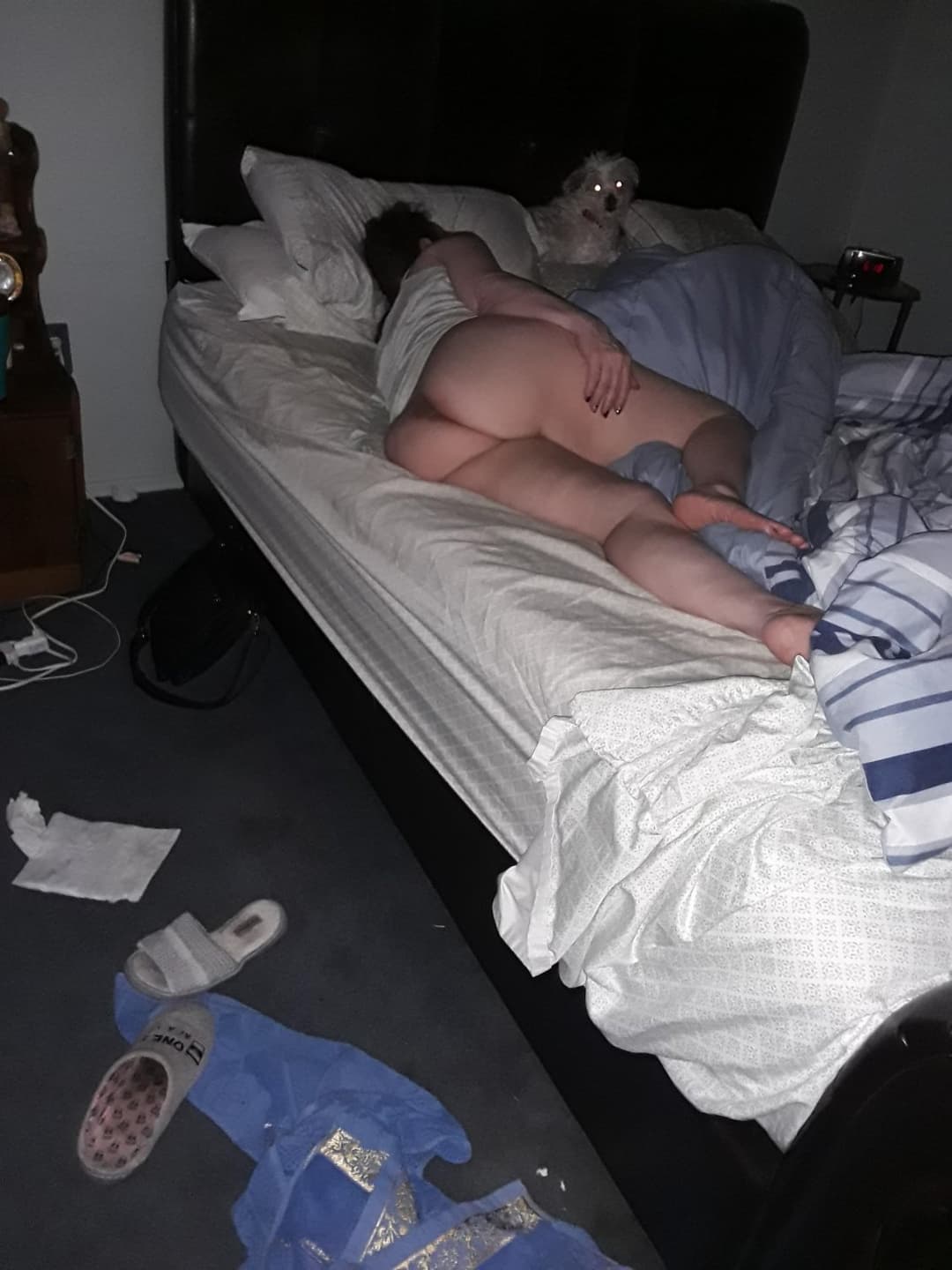 Stroking my morning wood wishing my cub was next to me instead of fat wife. DM me a pic of your cock