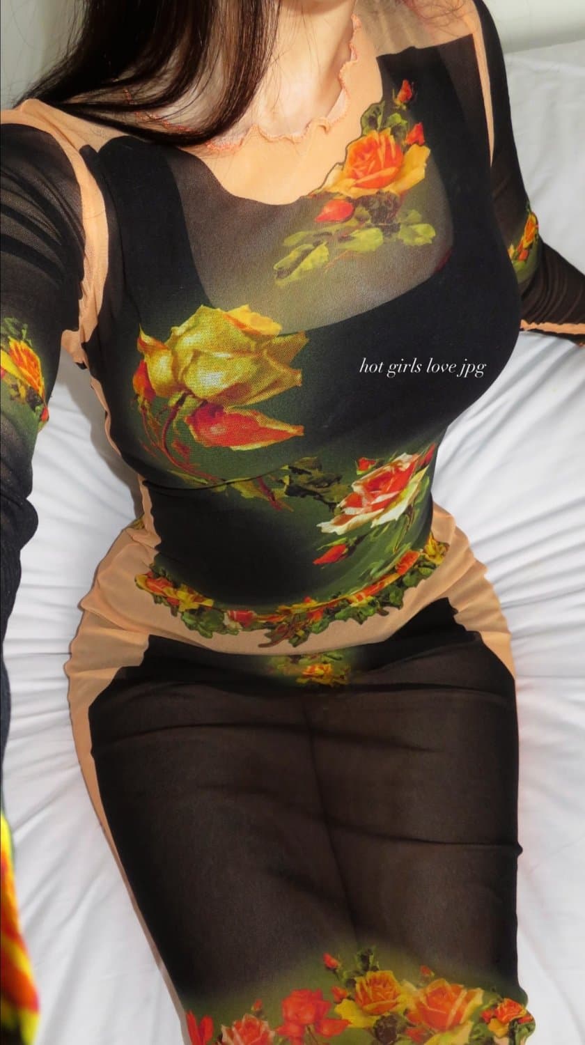 abg on a holiday suite leaks