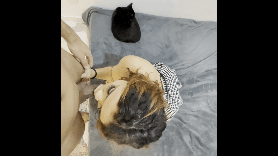 id#4629426 - Exclusivo$