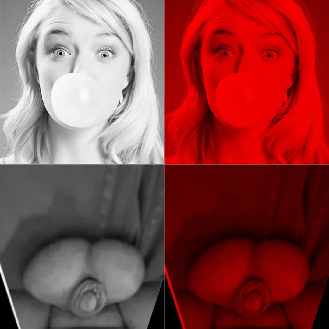 bubble gum penis pics multi color fantasy bubble gum collection