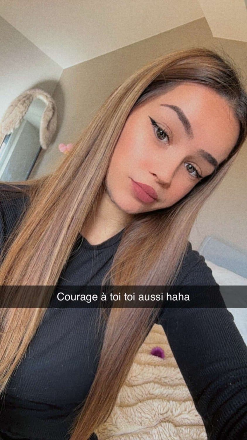 Belle petite chienne de Belgique