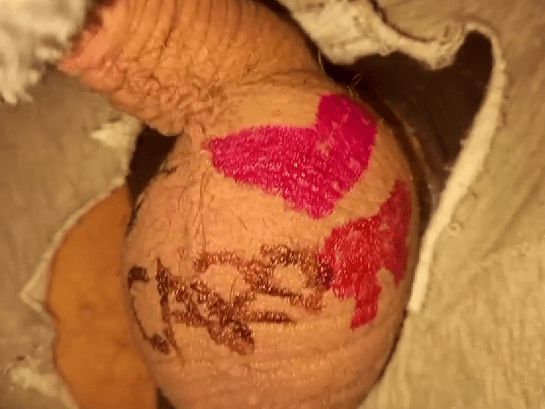 Robby – or Ventiboy