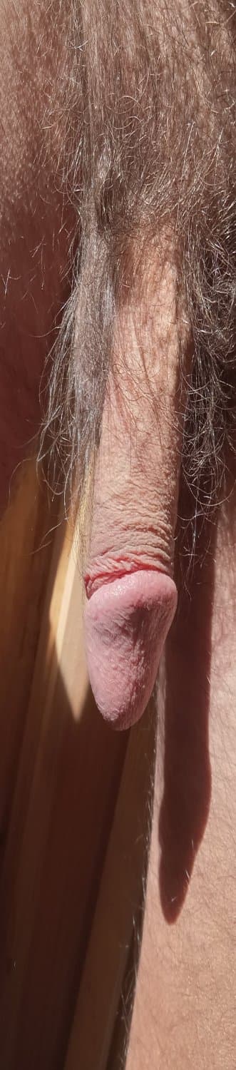 Sexy dressed ,and sexy nude