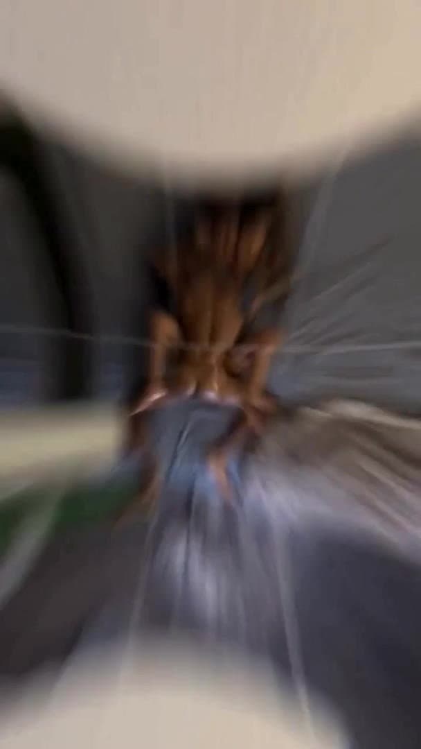 NATUAL DESI PATEL GUJU ? BBC LOVER n ITS ALL NATURAL! NATURAL DESI INDIAN GETS BLACKED - BBC