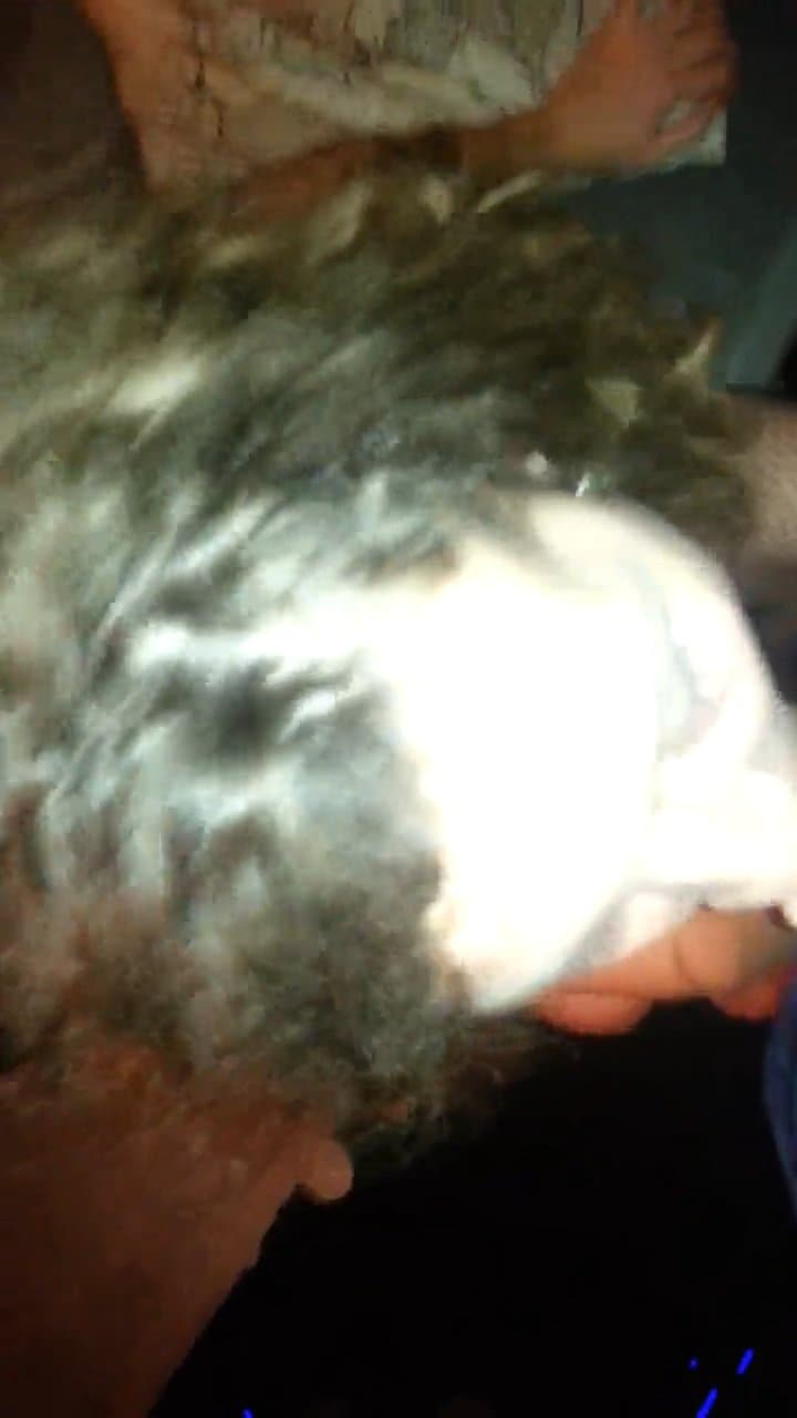 Horny horny wife sucking dick bitch teen(146)