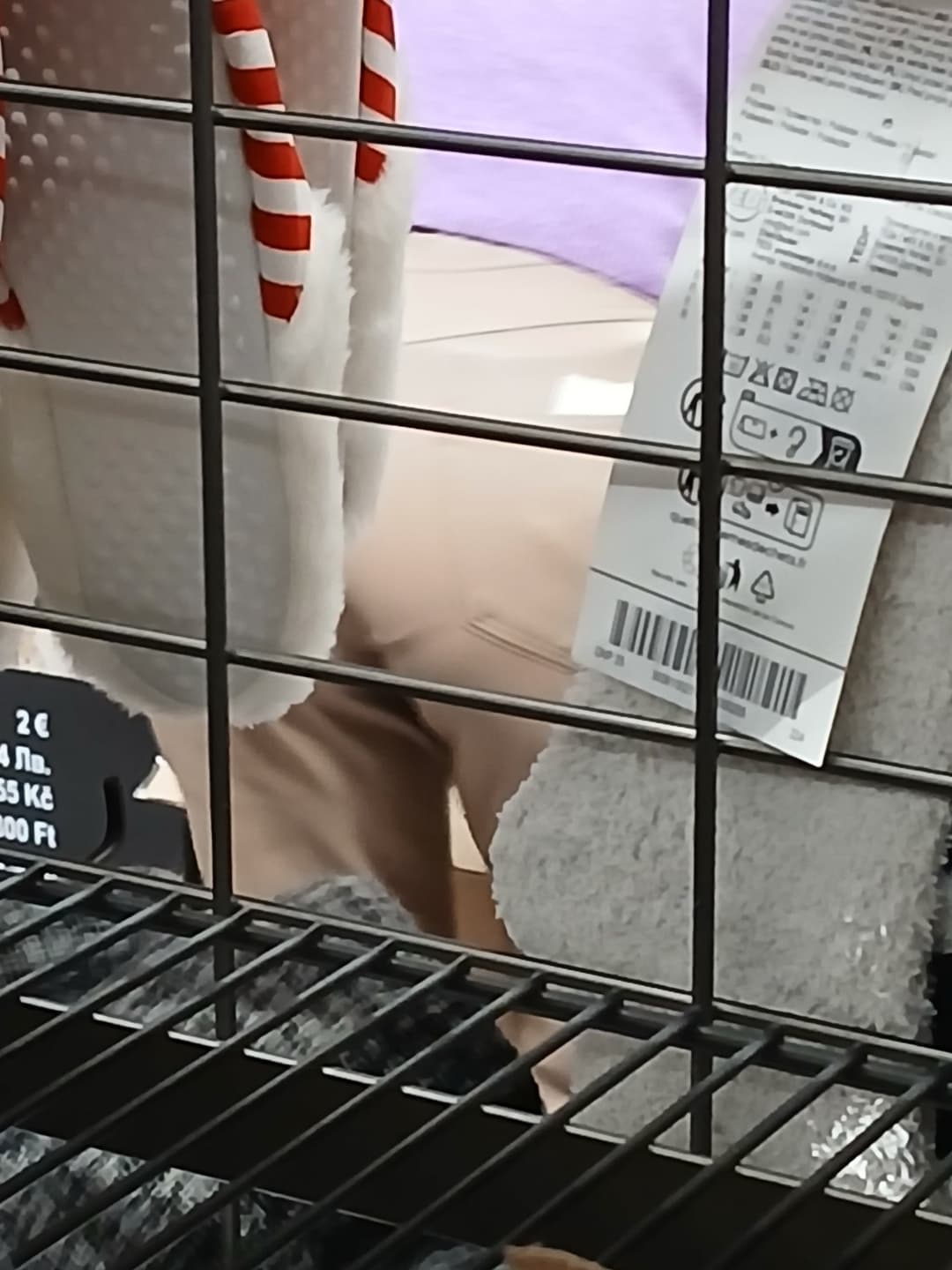 Slim thick Persian milf ❤️❤️ in tedi ?❤️