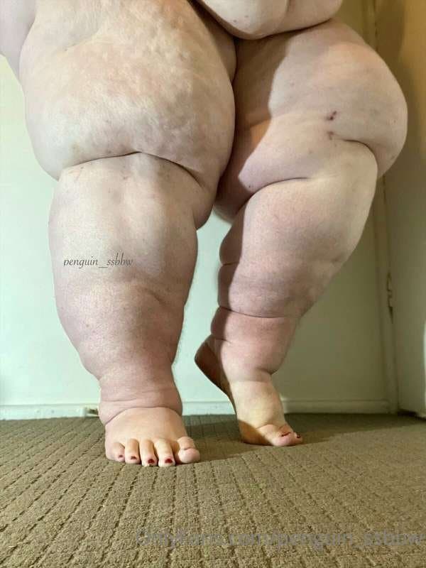 ssbbw penguin