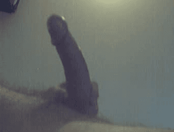 Cocks of Chatroulette 3