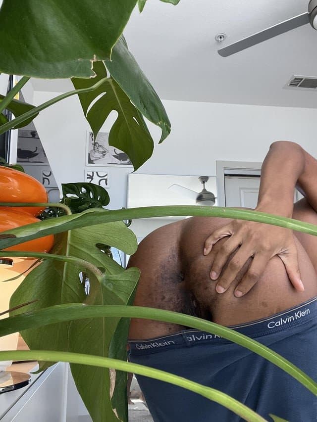 Black/ebony Dyke/stud/tomboy/lesbian/butch