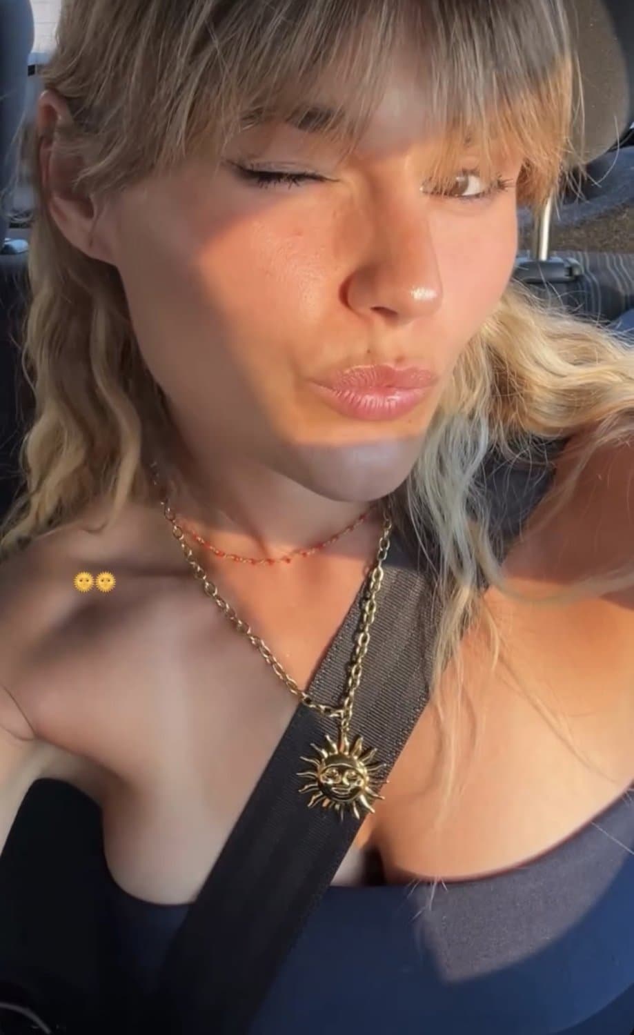 Chloé, grosse chienne française exposée