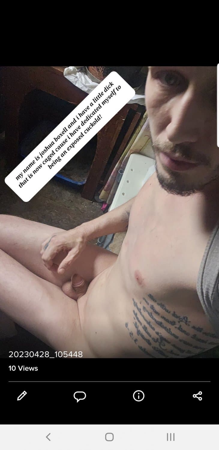 Joshua Boxell caged little dick