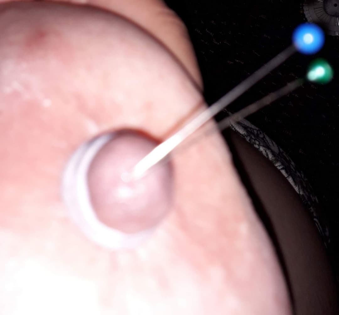 Worthless pig bitch drink piss and suffer for me ?