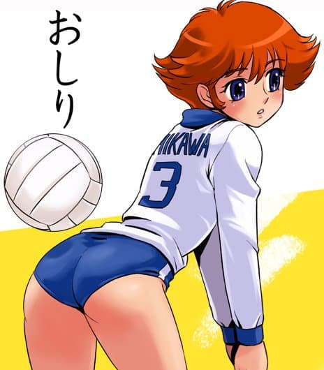 Mila e s hiro due cuori nella pallavolo