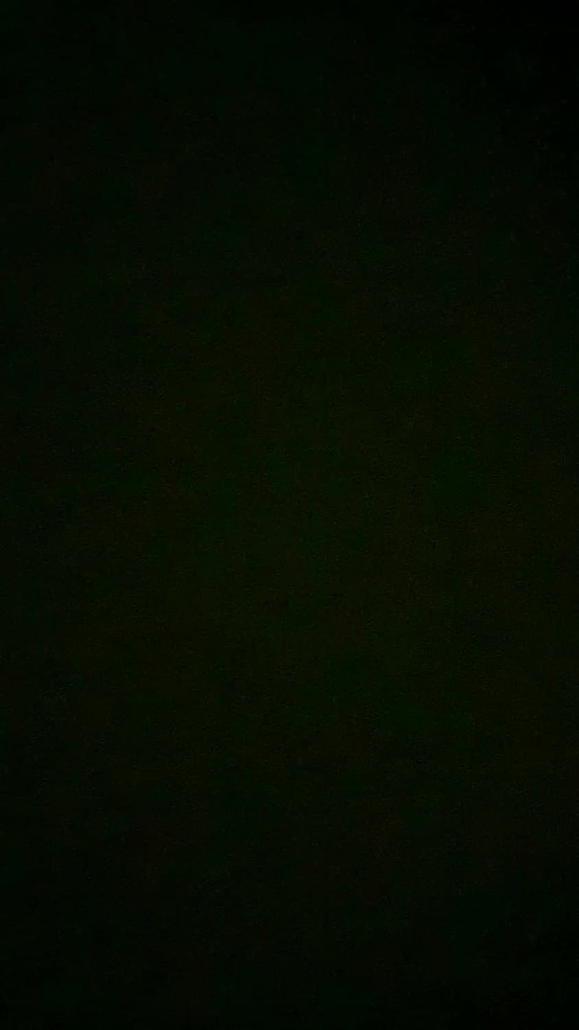 Pendeja puta casi legal