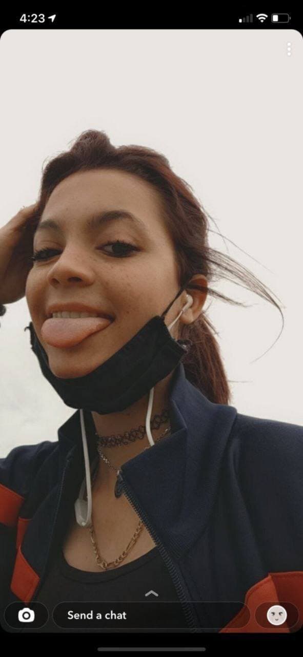 Click to view full size Salope de Lyon