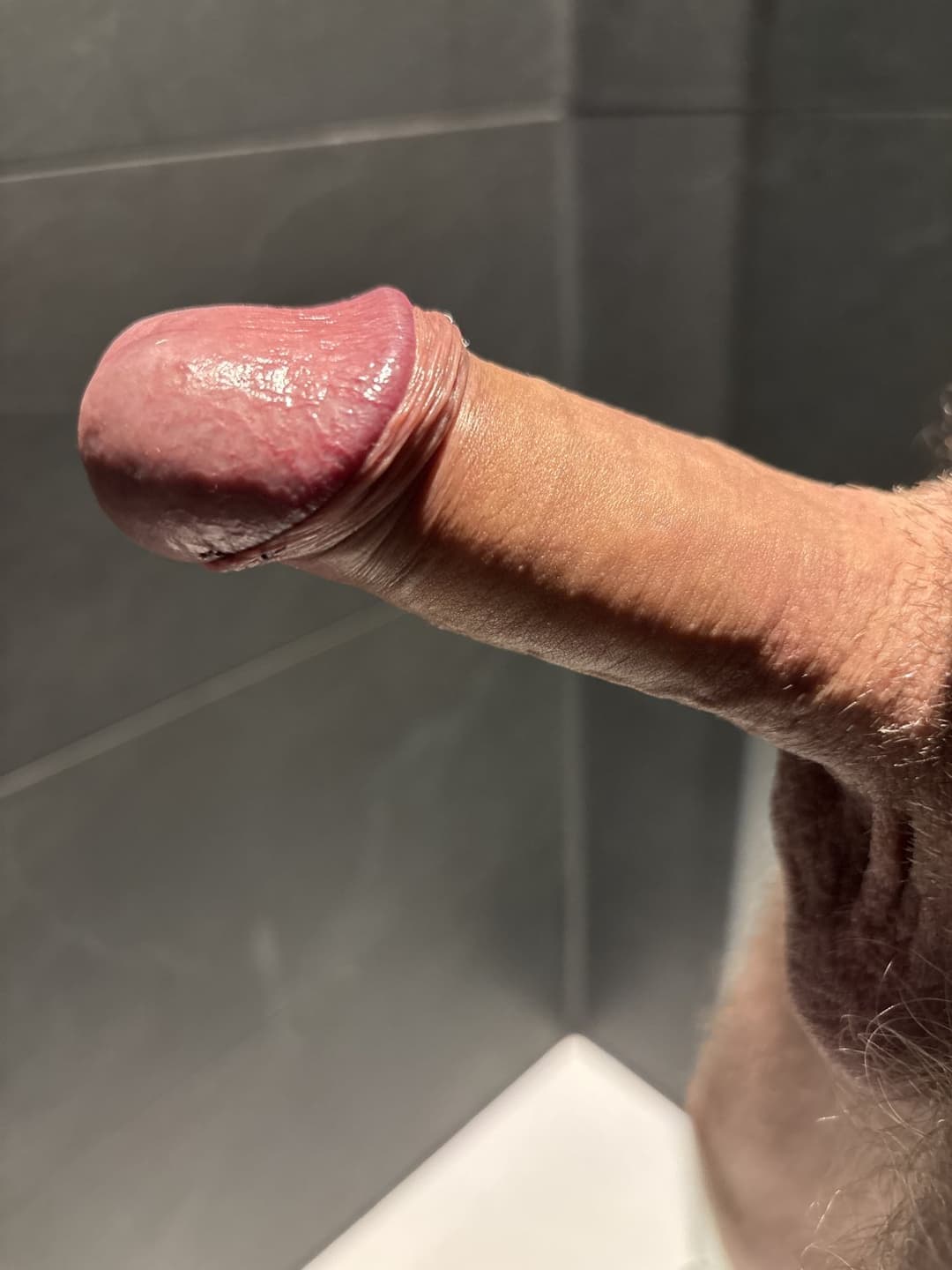 Süße Janalibra, willst du meinen schwanz blasen?