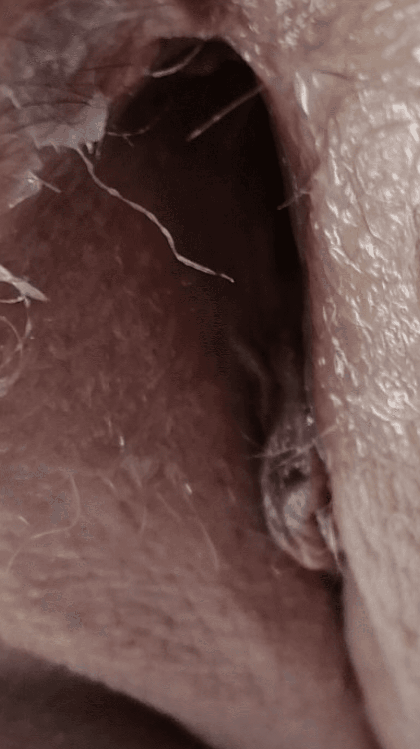 This fat British GILF whore is totally fuckable. Glorious GILF ?