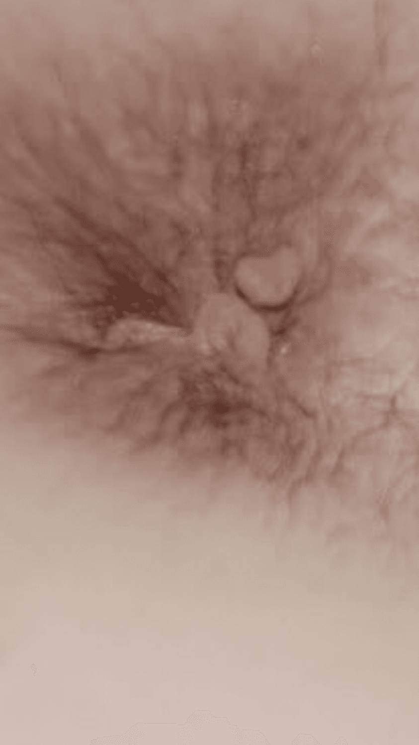 Click to view full size Beautiful dance Whore $4rah trusted her husband. Oops. Tight sexy perfect Bod on this whore ??