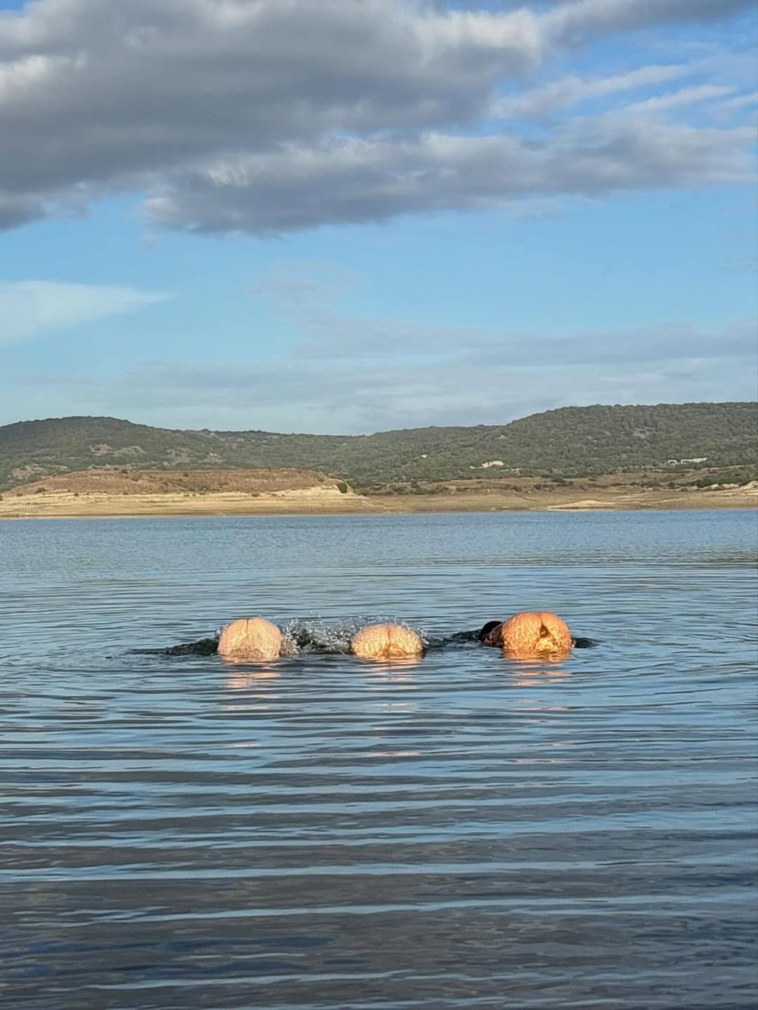 Actress Maisie Willaims skinny dipping bare ass
