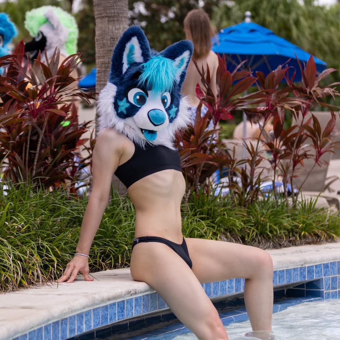 [FURRY] ??? vietnamese nonbinary femboy with a cute face (ņöväfłüffÿħüşķŷ)