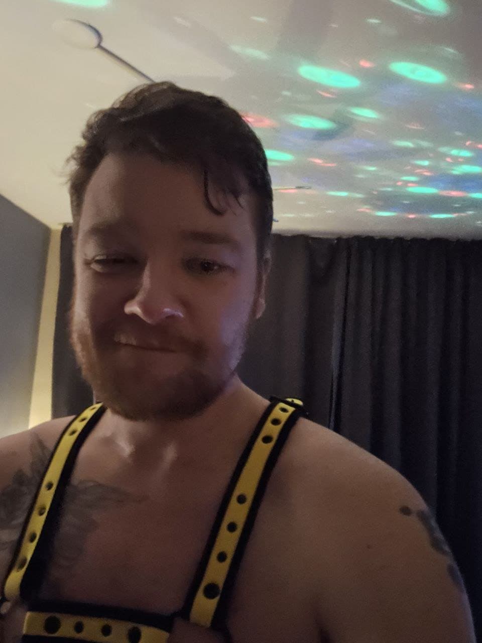 exhibition of the great faggot.    ?? ??Rijswijk30 Edwin Antonio se johannes  ???? ????