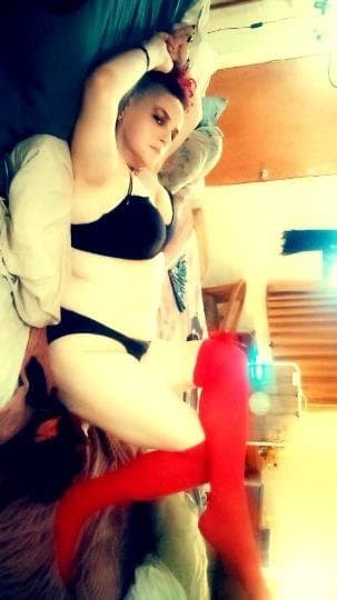 Kittens $80 gummy special