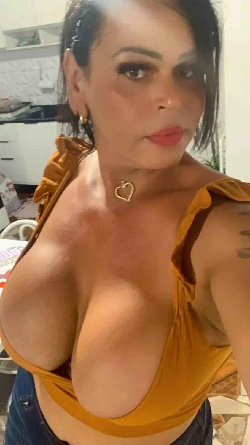 Transex gostosa da parada 103 de Gravataí RS