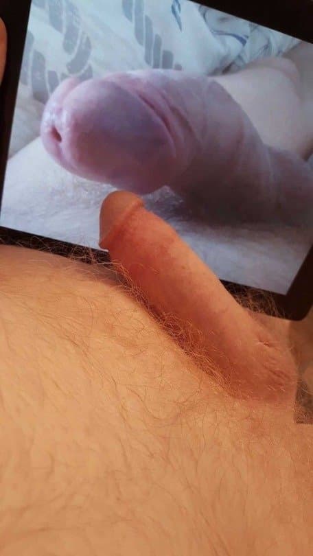 Itwasfungay homosexual faggot