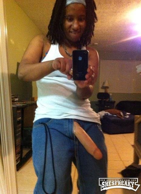 Click to view full size Ebony Dyke Stud Hall of fame