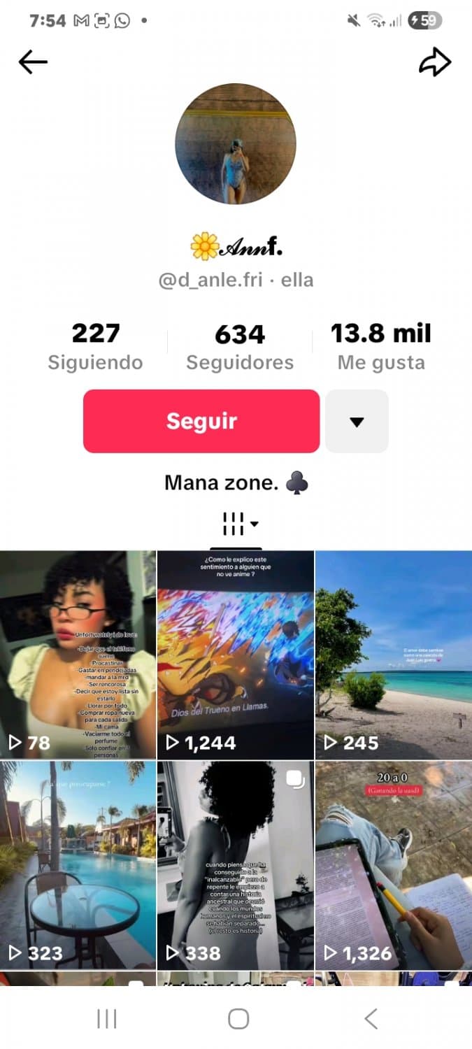 Click to view full size Cuero dominicano