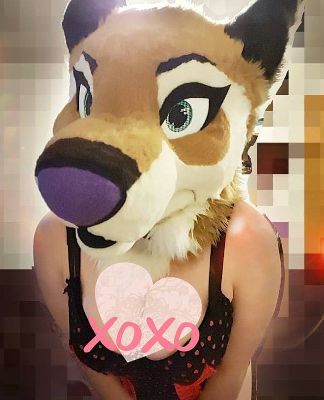 [FURRY] ?? infamous shiba/deer murrsuiter sex tapes (fřëÿäśħîbê)