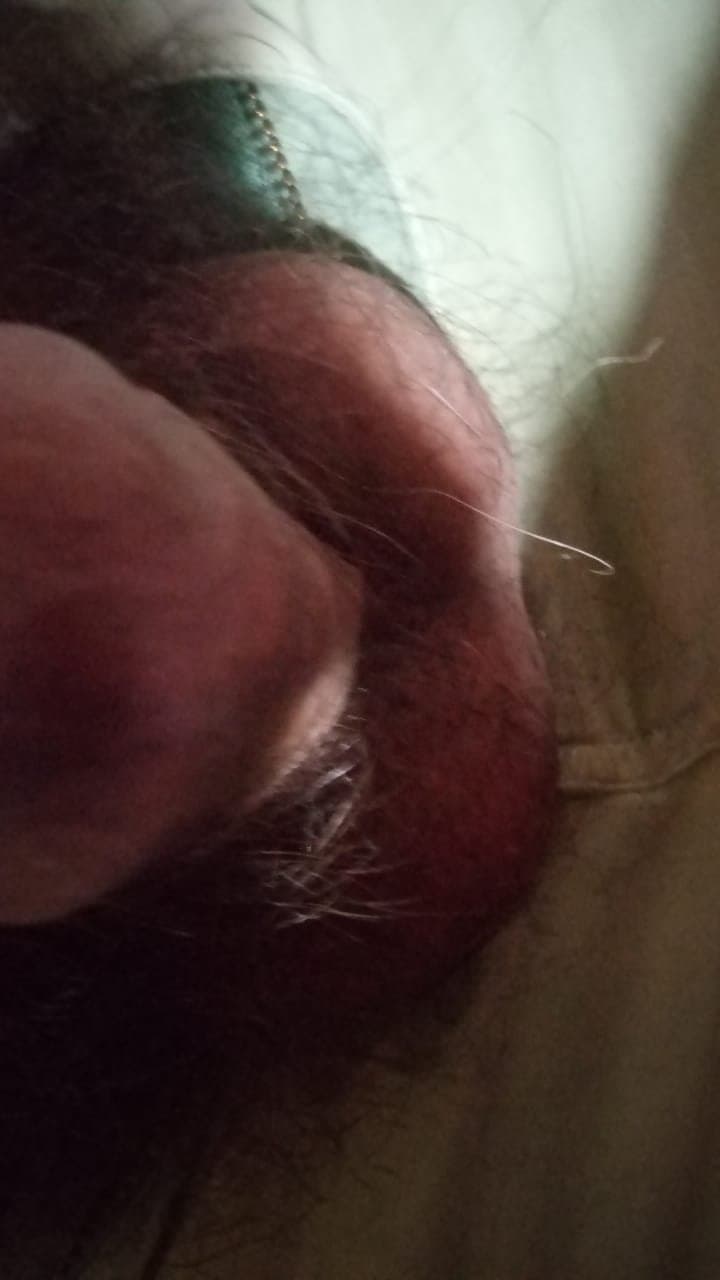 caliente, wilde, buenos aires, si me ofresco si alguna quiere hableme