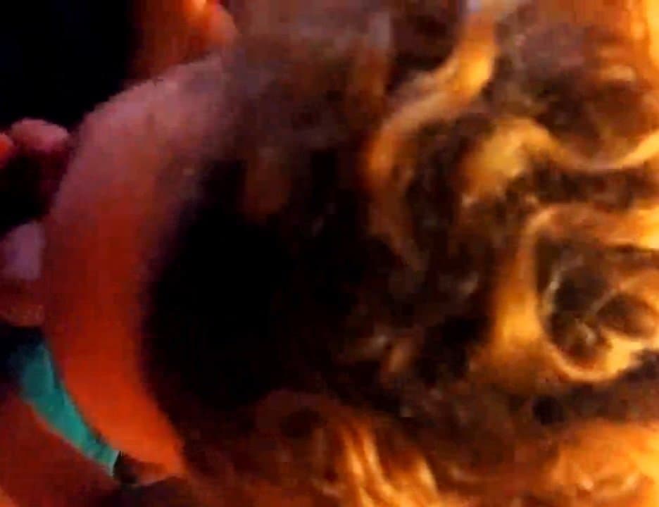 Wife blowjob horny wife sucking my cock