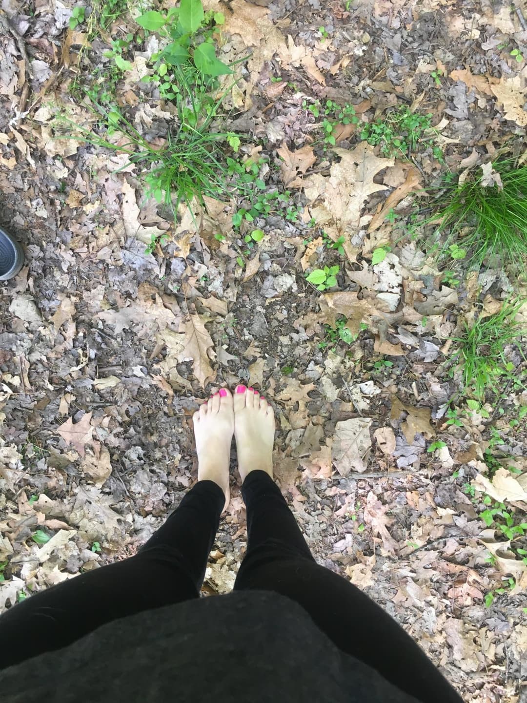 walking to the park this morning to go sunbathing . taking a short cut through the forest