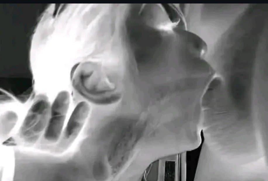 Mamón que ricos culos