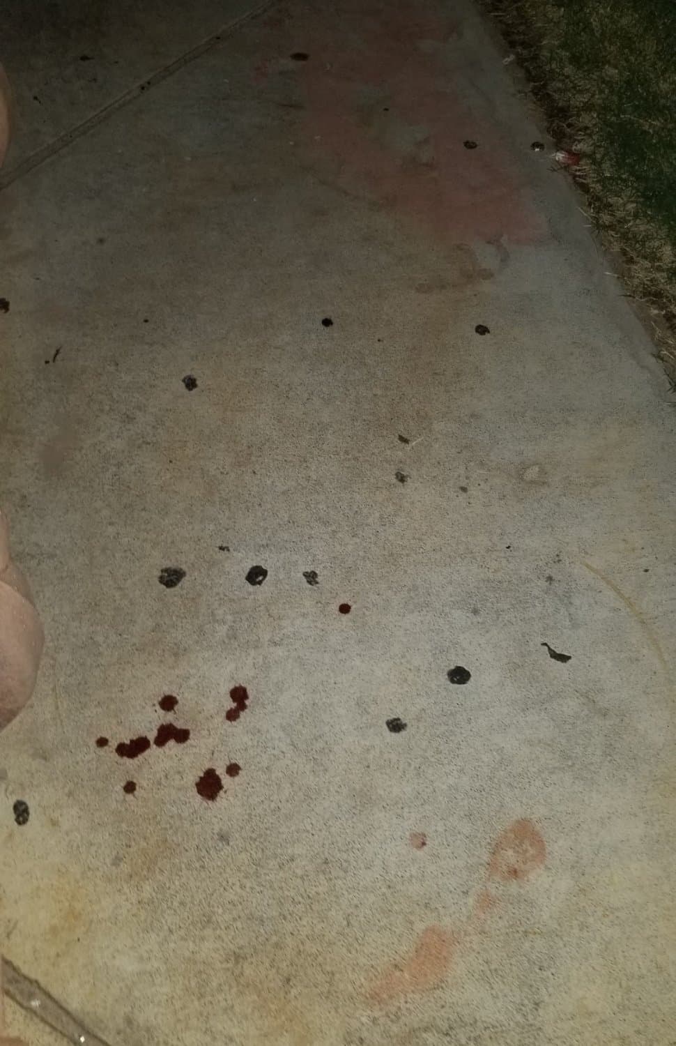 Milf Shows Her Tits And Period Pussy In The Park After Dark