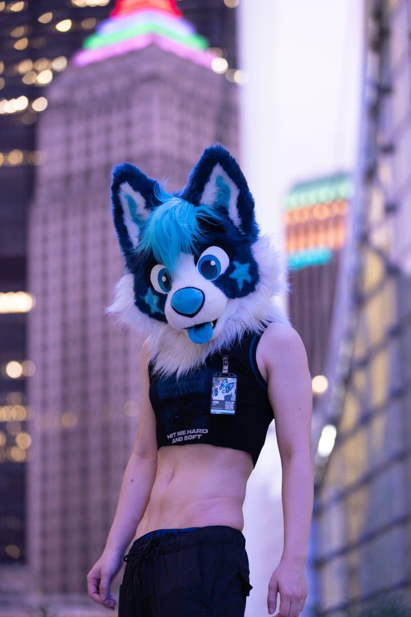 [FURRY] ??? vietnamese nonbinary femboy with a cute face (ņöväfłüffÿħüşķŷ)