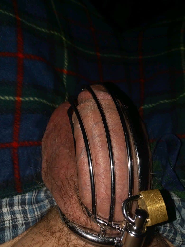 I might be a pig slut bit i own sissy cuck send me cock pics and humiliate my fag and me