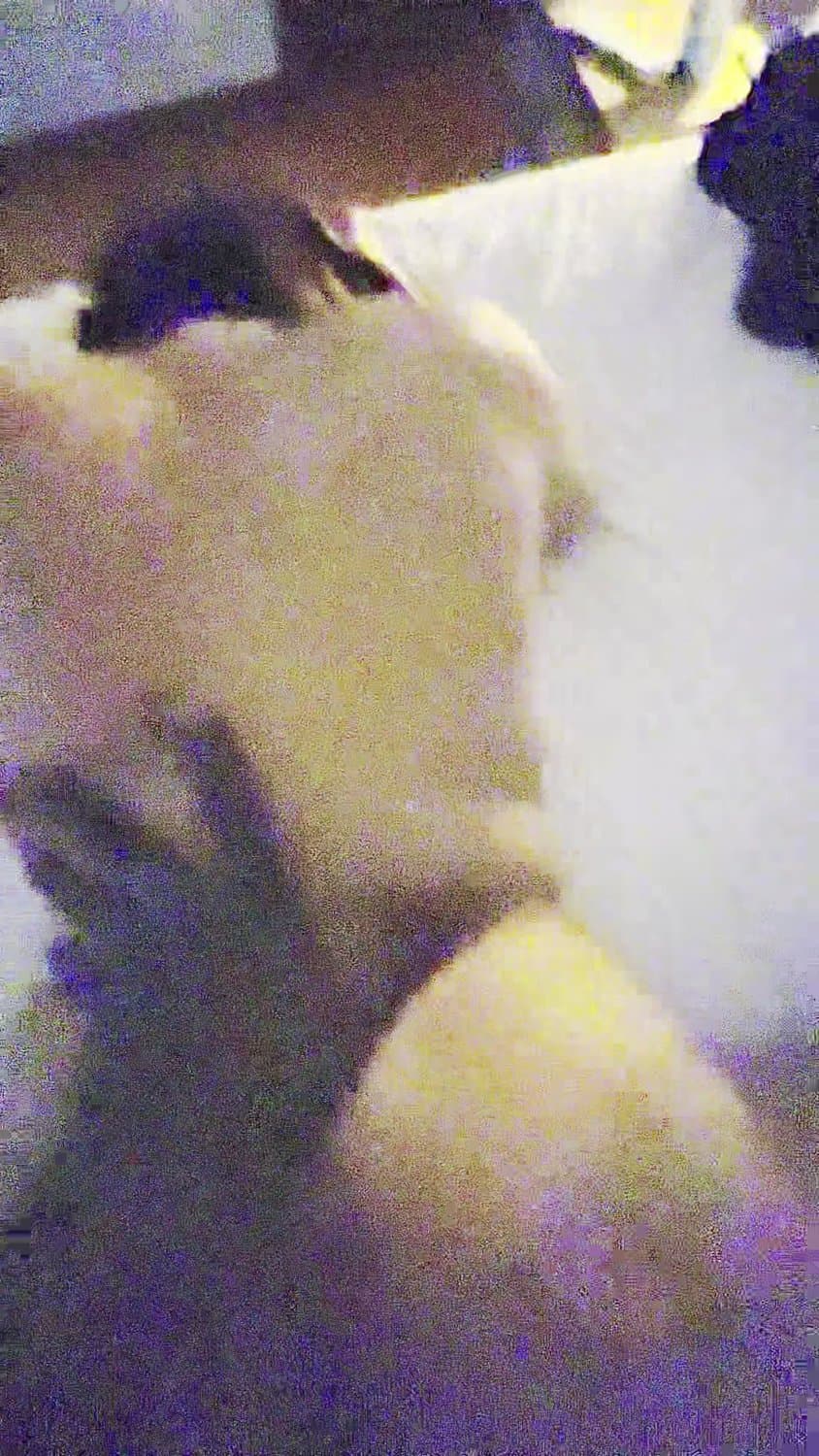 Punjabi Wife Takes BBC