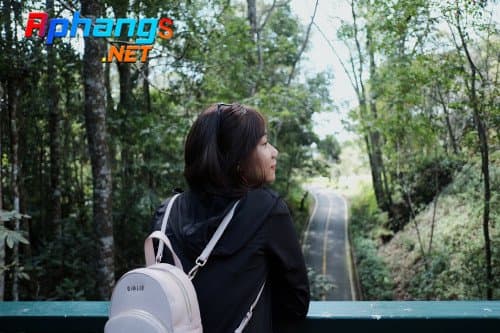 TRAVELVIDS - Hà Cornie